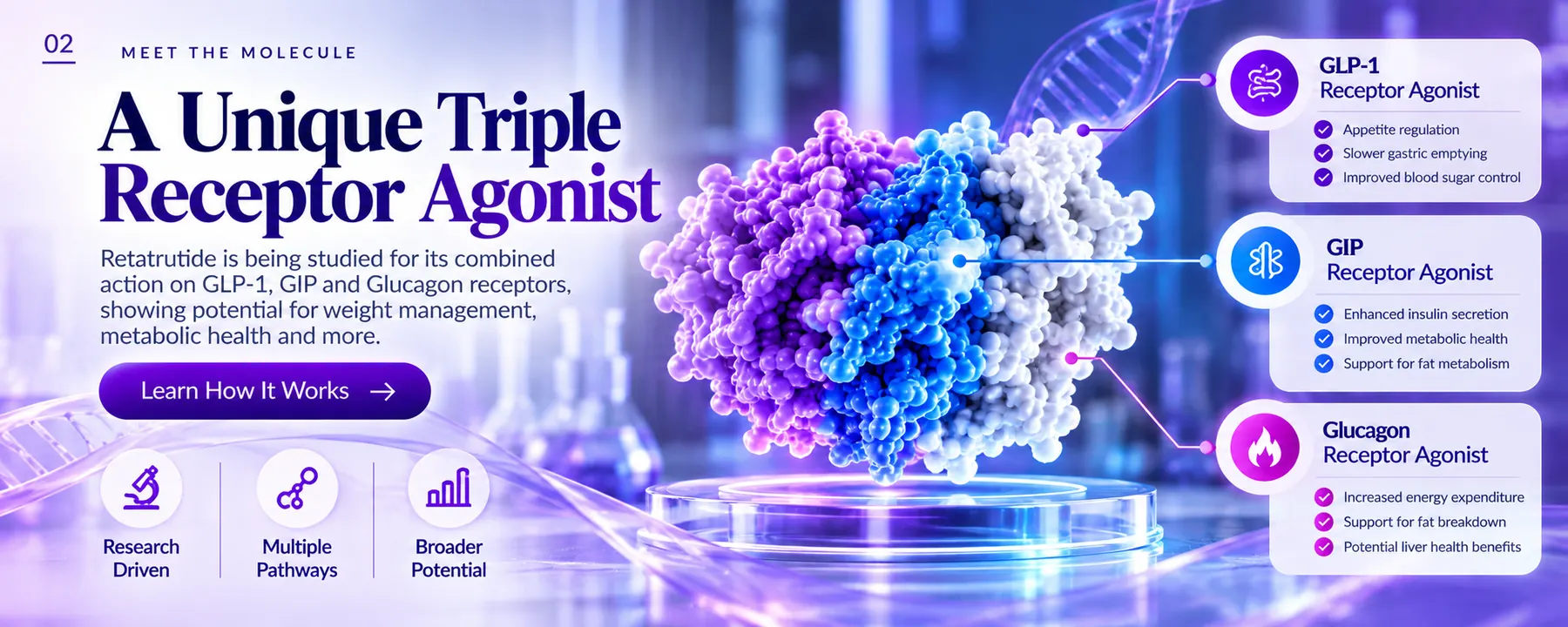 Banner illustrating retatrutide as a unique triple receptor agonist acting on three hormone pathways.