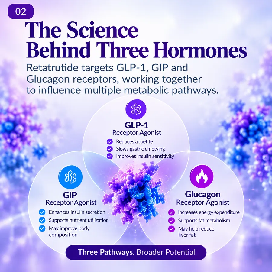 Infographic showing the three hormone receptors retatrutide targets: GIP, GLP-1 and glucagon, and the pathways associated with each.